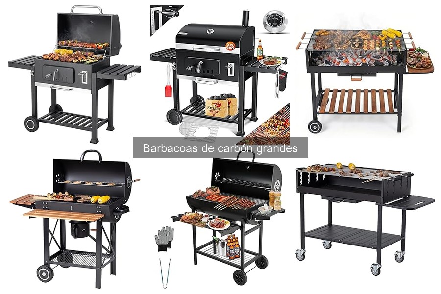 Mejores Ofertas y Precios de Barbacoas de Carbón Grandes