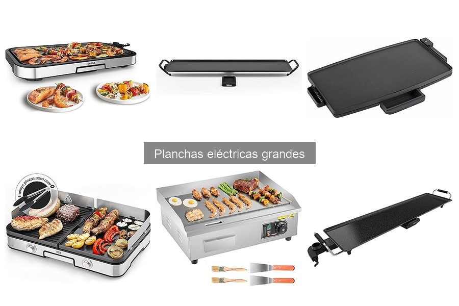Mejores recetas para planchas eléctricas grandes | Deléitate