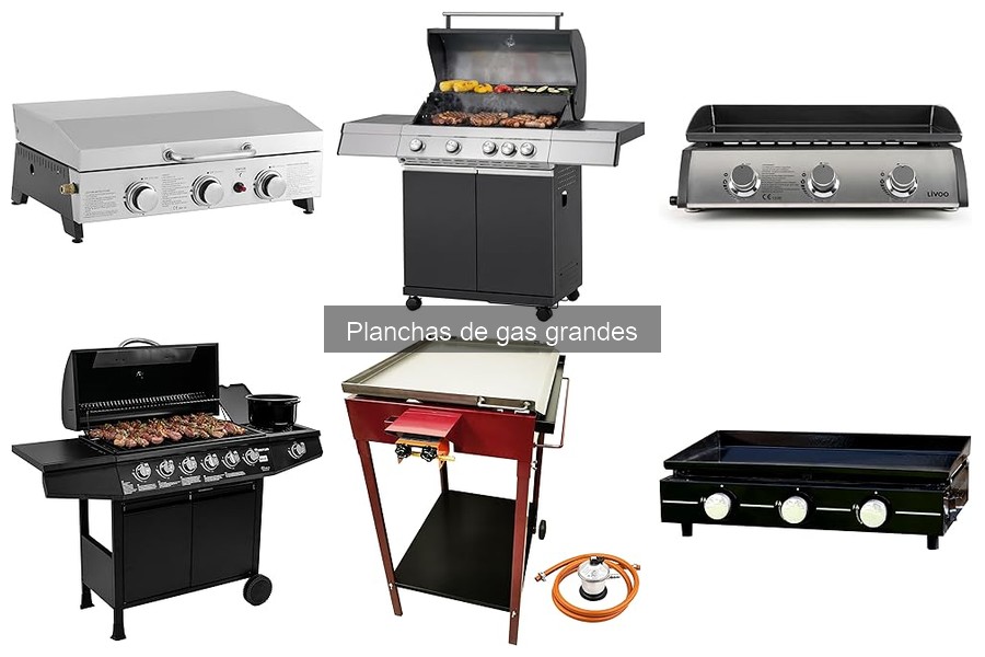 Mejores tiendas para comprar planchas de gas grandes al mejor precio
