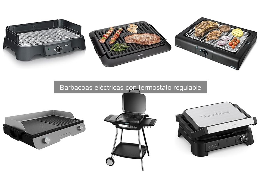Ofertas en Barbacoas Eléctricas con Termostato Regulable