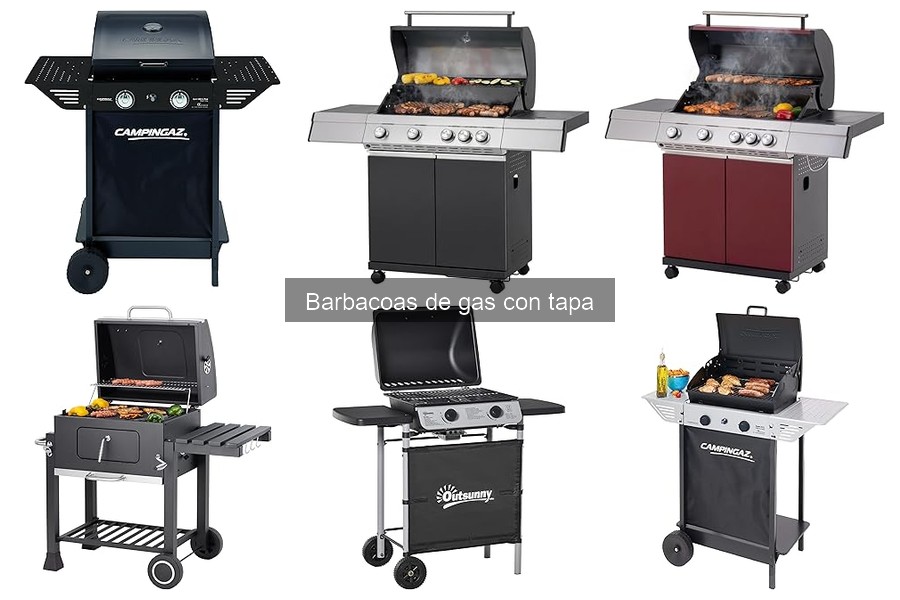 Opiniones de usuarios sobre barbacoas de gas con tapa