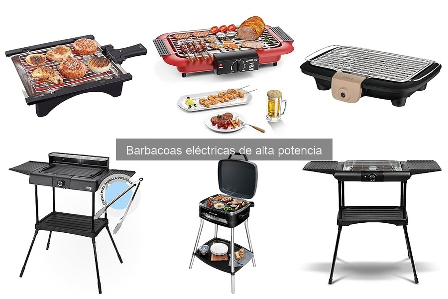 Opiniones de usuarios sobre barbacoas eléctricas potentes