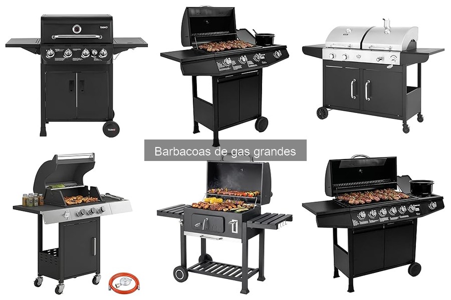 ¿Por qué elegir una barbacoa de gas grande en vez de carbón?
