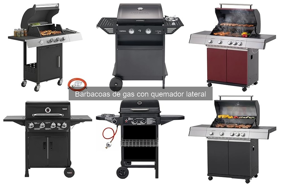 Precio promedio de barbacoas de gas con quemador lateral