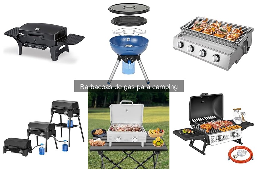 Precios de Barbacoas de Gas para Camping: Guía 2023