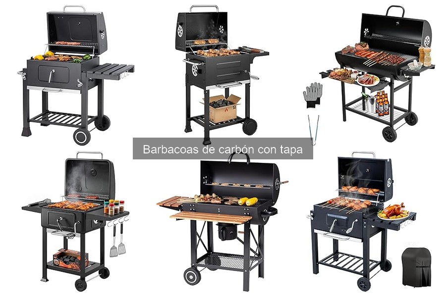 Precios Promedio de Barbacoas de Carbón con Tapa