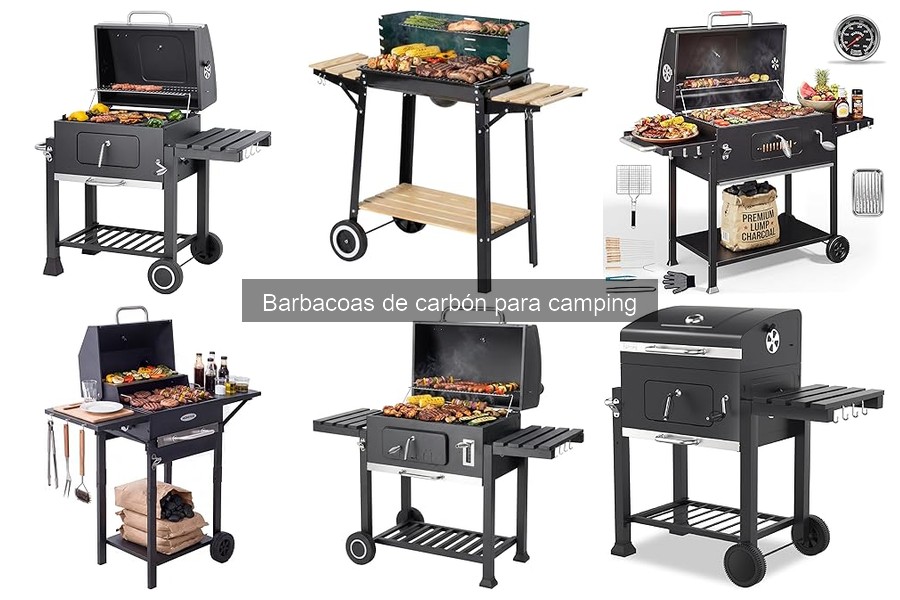 Problemas Comunes al Usar Barbacoas de Carbón en Camping