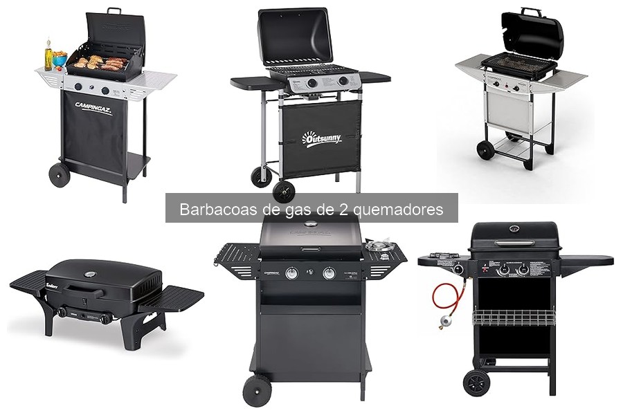 Problemas comunes en barbacoas de gas de 2 quemadores