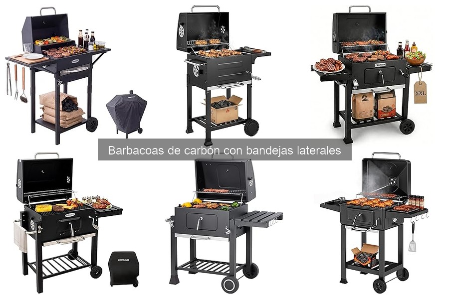 Qué considerar al comprar barbacoa de carbón con bandejas laterales