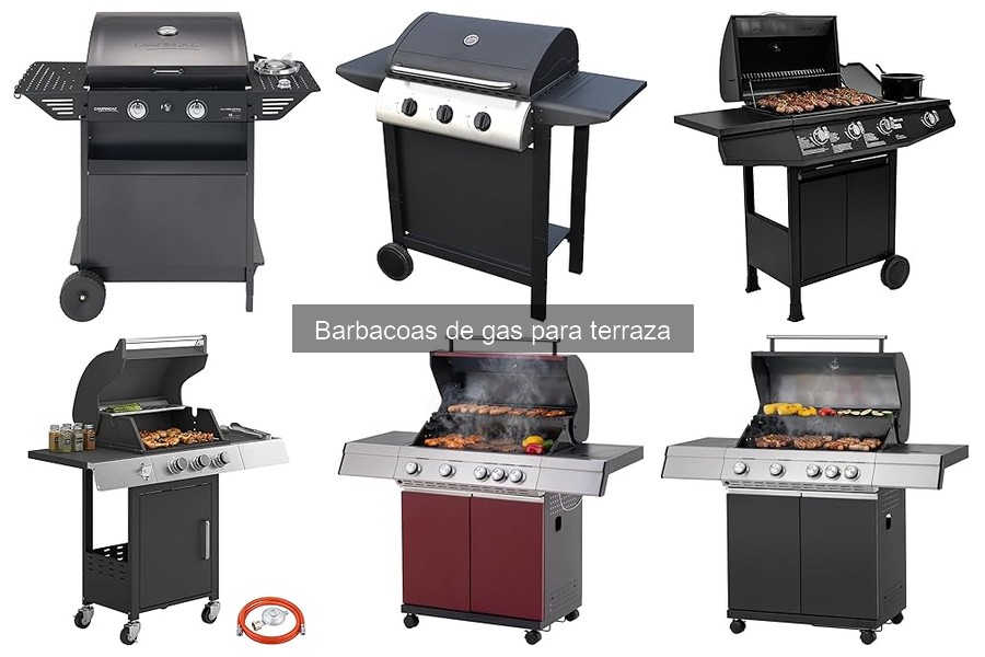 ¿Qué es una barbacoa de gas? Características y ventajas