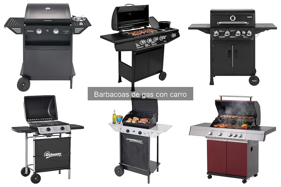 ¿Qué es una barbacoa de gas con carro? Beneficios y características