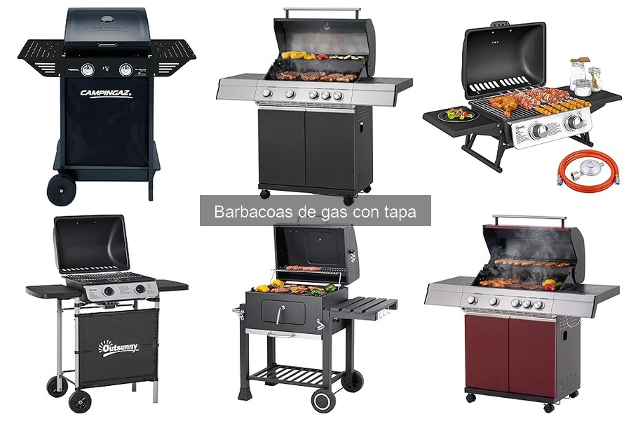 ¿Qué es una barbacoa de gas con tapa? Características y funcionamiento