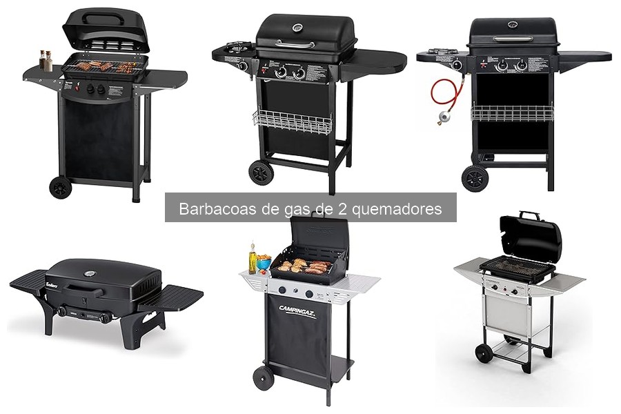 ¿Qué es una barbacoa de gas de 2 quemadores?