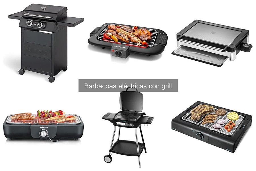 Recetas deliciosas para barbacoa eléctrica con grill
