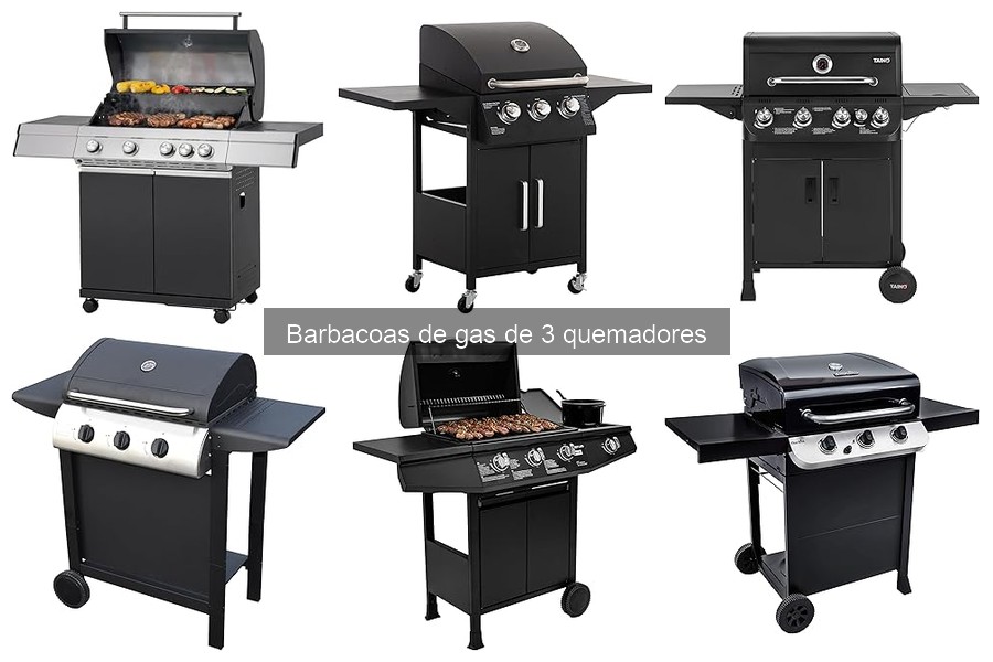 Recetas deliciosas para barbacoas de gas de 3 quemadores