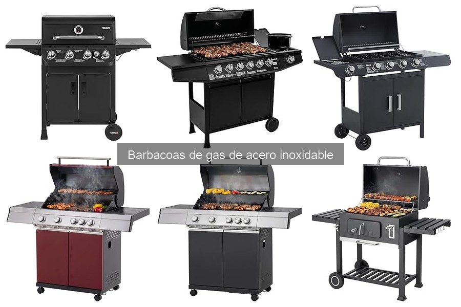 Recetas deliciosas para barbacoas de gas de acero inoxidable