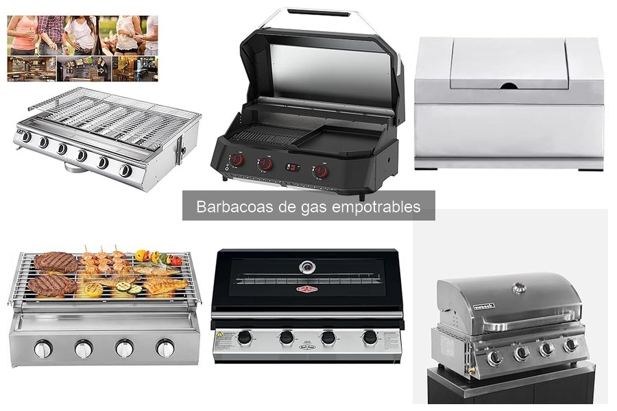 Recetas deliciosas para barbacoas de gas empotrables