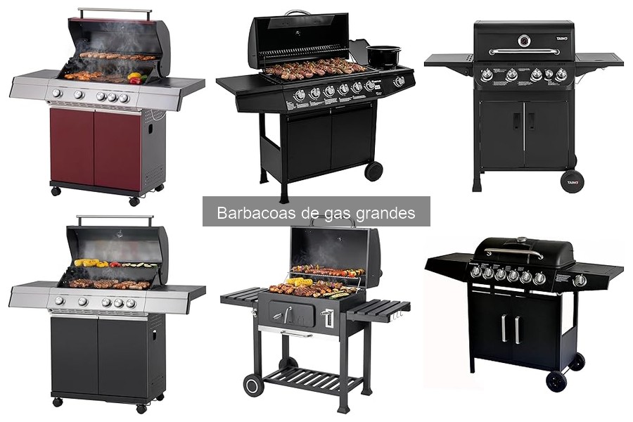 Recetas deliciosas para barbacoas de gas grandes