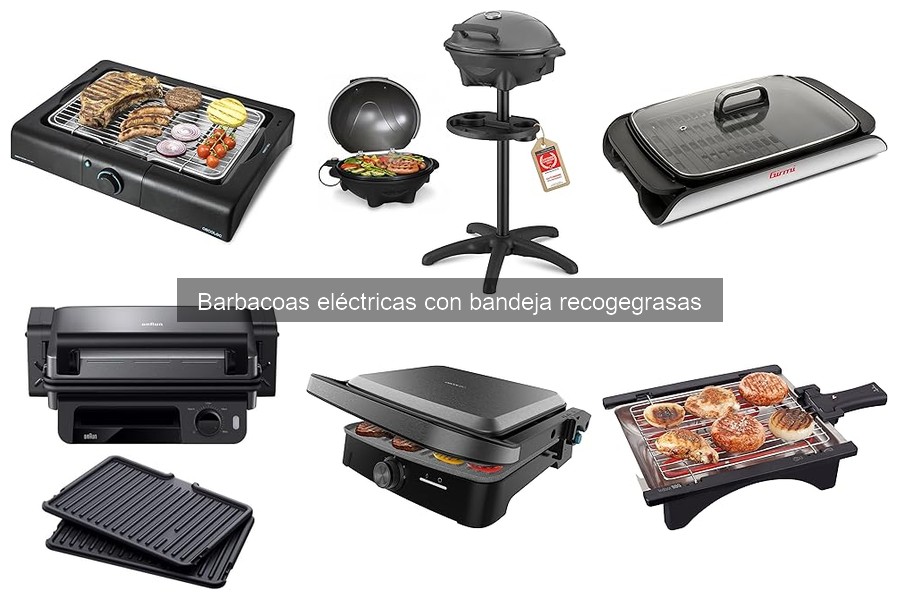 Recetas deliciosas para barbacoas eléctricas con recogegrasas
