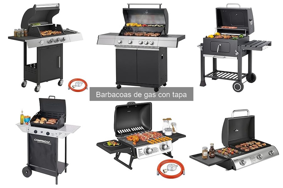 Recetas deliciosas para tu barbacoa de gas con tapa