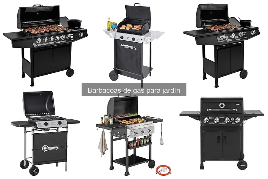 Recetas deliciosas para tu barbacoa de gas en el jardín