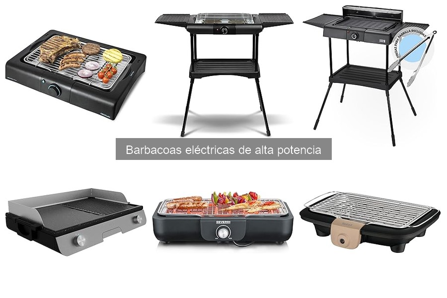 Recetas deliciosas para tu barbacoa eléctrica de alta potencia