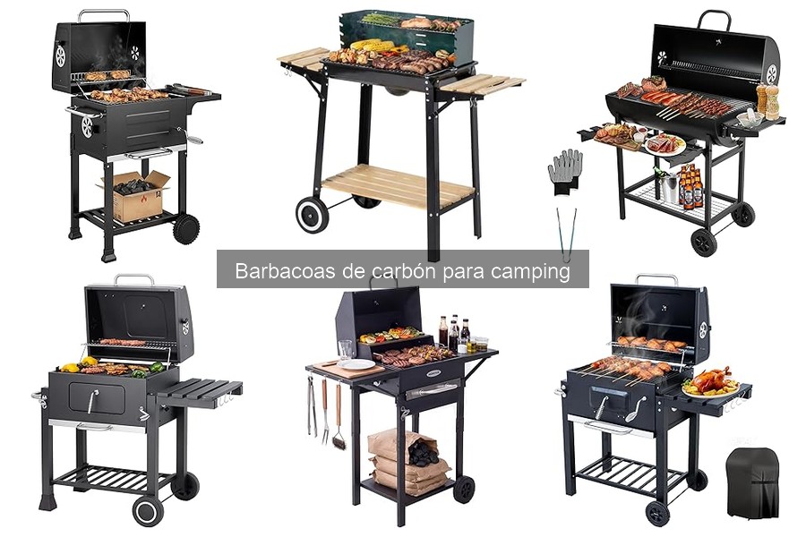 Recetas fáciles para barbacoa de carbón en camping