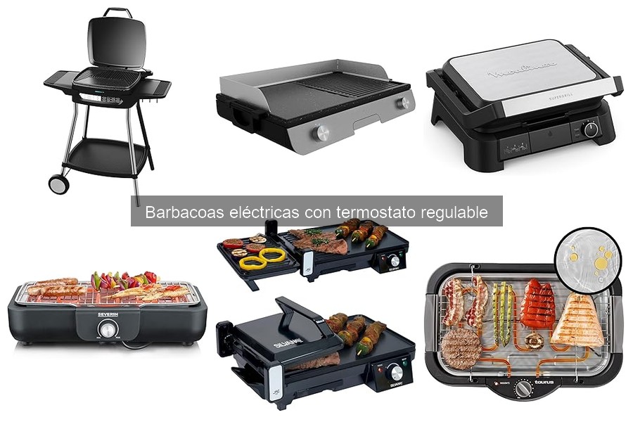 Recetas fáciles para barbacoas eléctricas con termostato