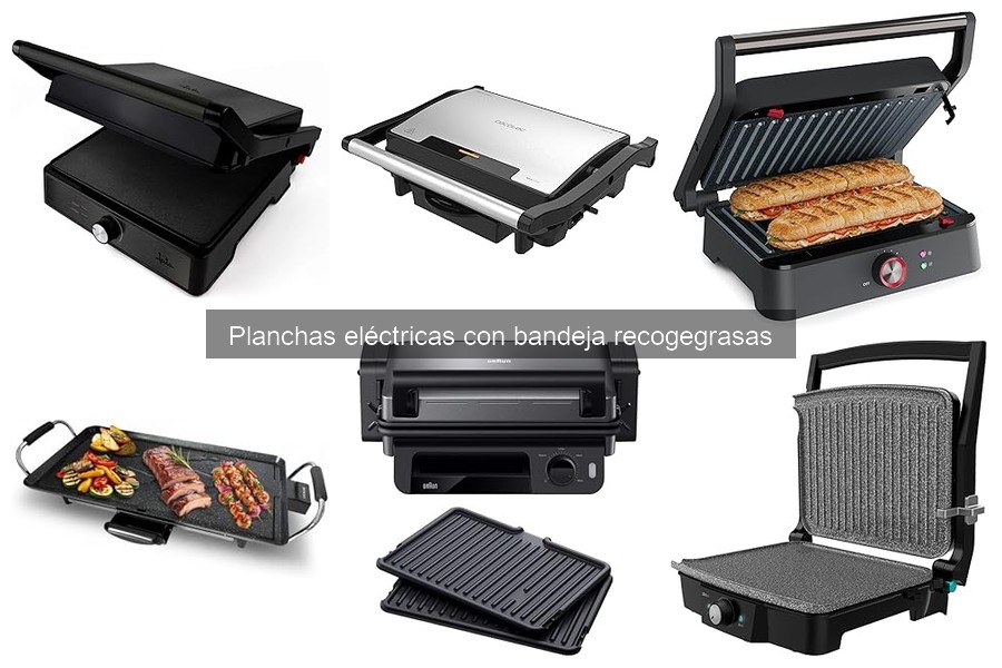 Recetas fáciles para planchas eléctricas con bandeja recogegrasas