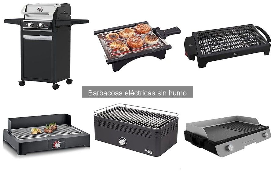 ** Recetas fáciles y deliciosas para barbacoas eléctricas sin humo