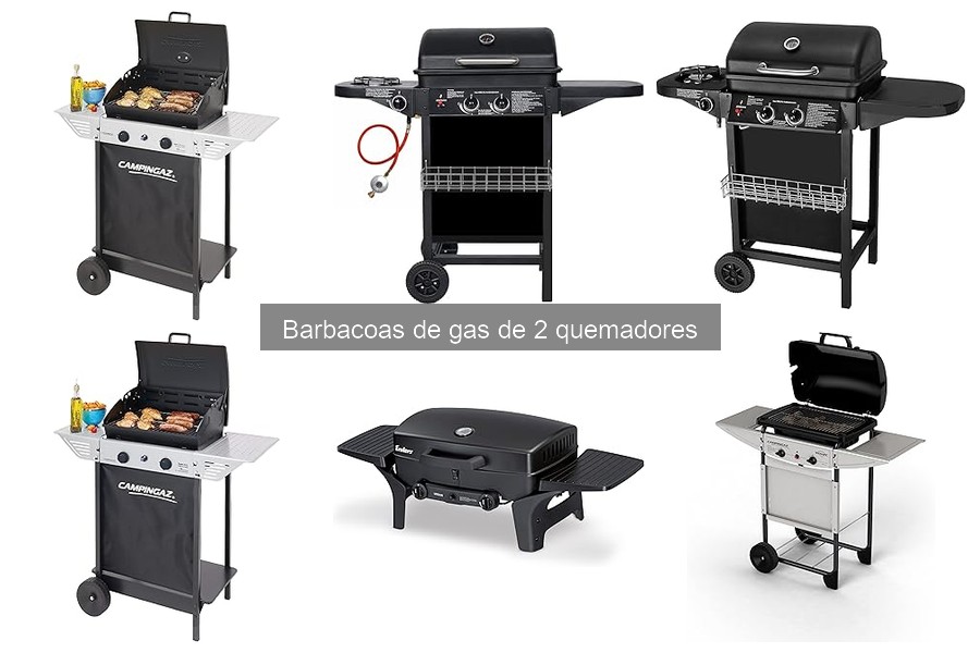 Recetas irresistibles para barbacoa de gas de 2 quemadores