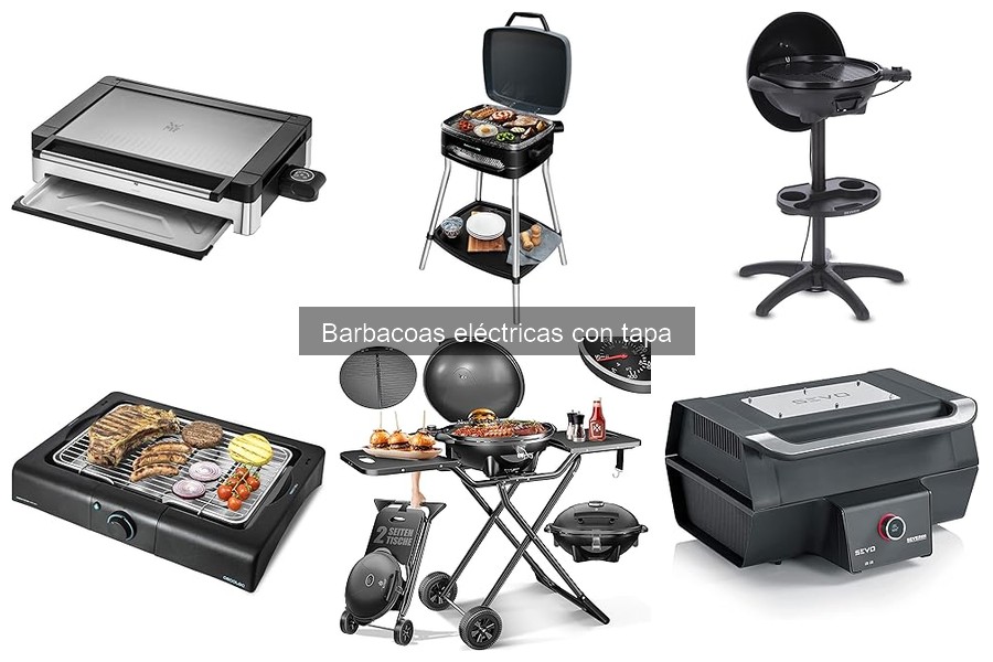 Recetas irresistibles para barbacoa eléctrica con tapa