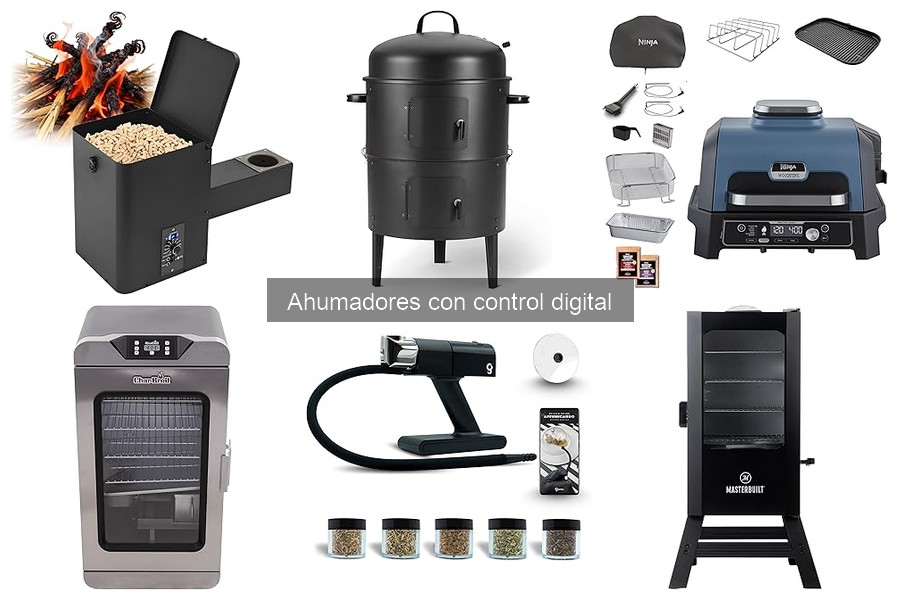 Recetas Perfectas para Ahumadores con Control Digital