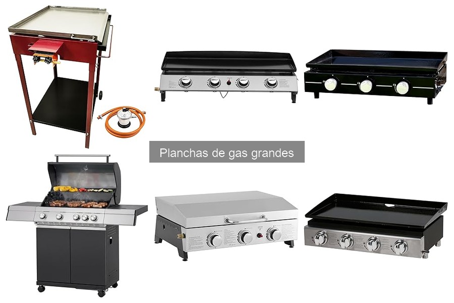 Recetas sabrosas para planchas de gas grandes