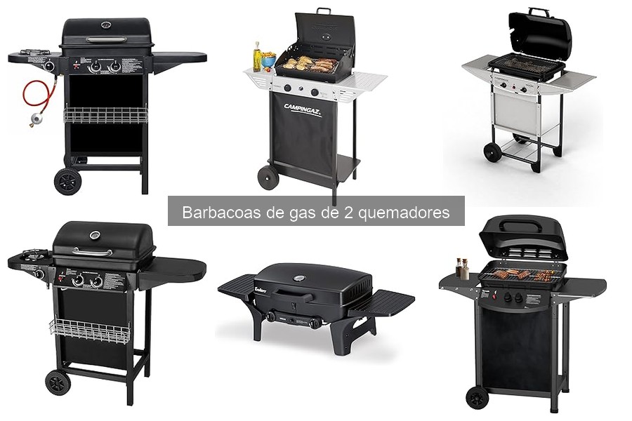 Rentabilidad de barbacoas de gas de 2 quemadores frente a otras