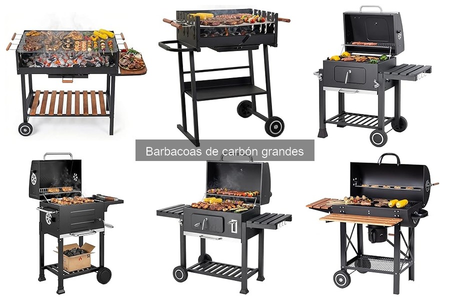 Tipos de barbacoas de carbón grandes: guía completa