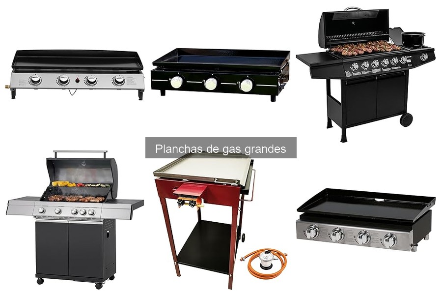 Tipos de combustible para planchas de gas grandes: Guía práctica