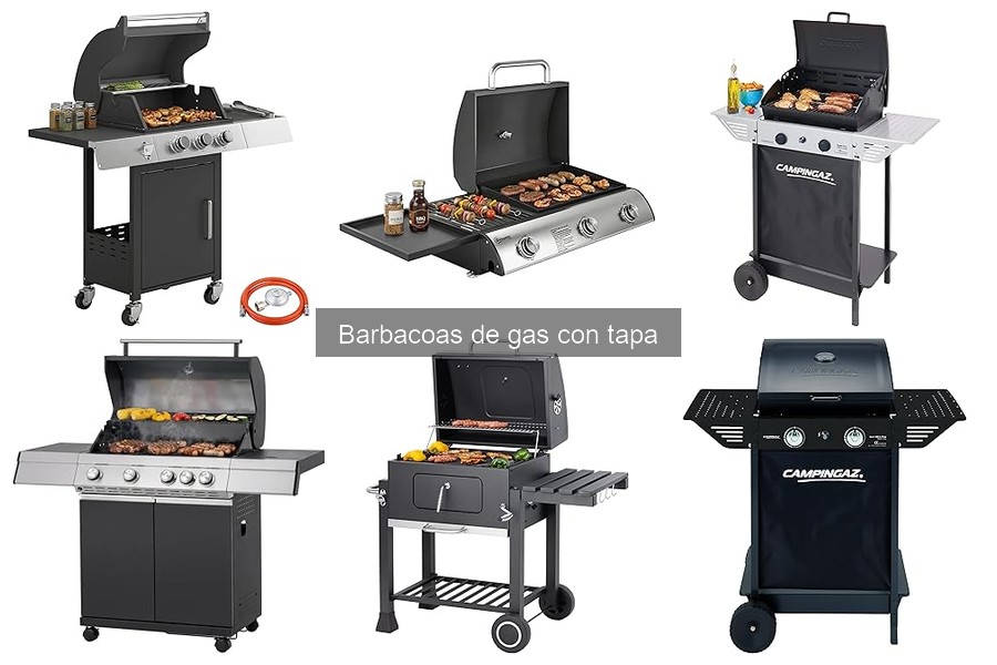 Ventajas y desventajas de las barbacoas de gas con tapa