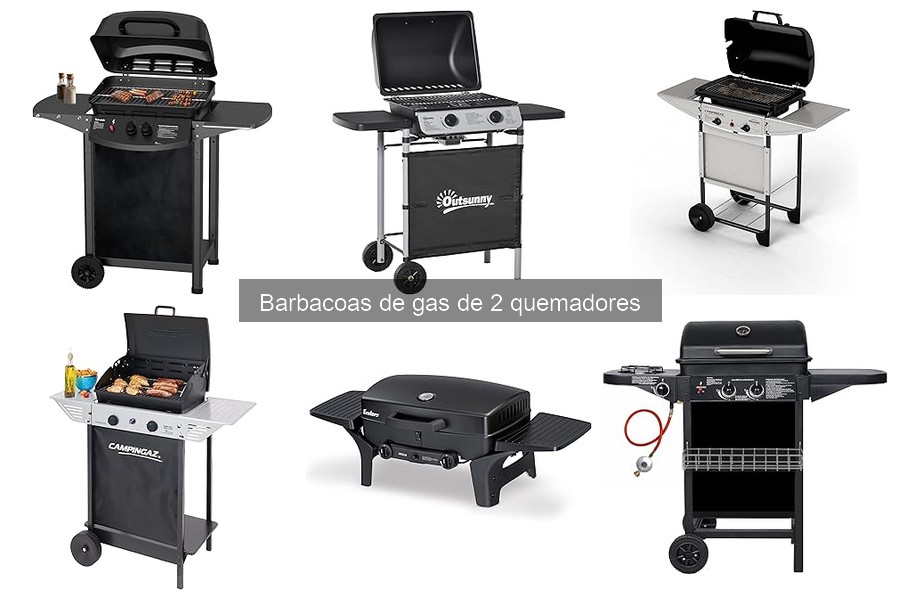 Ventajas y desventajas de las barbacoas de gas de 2 quemadores