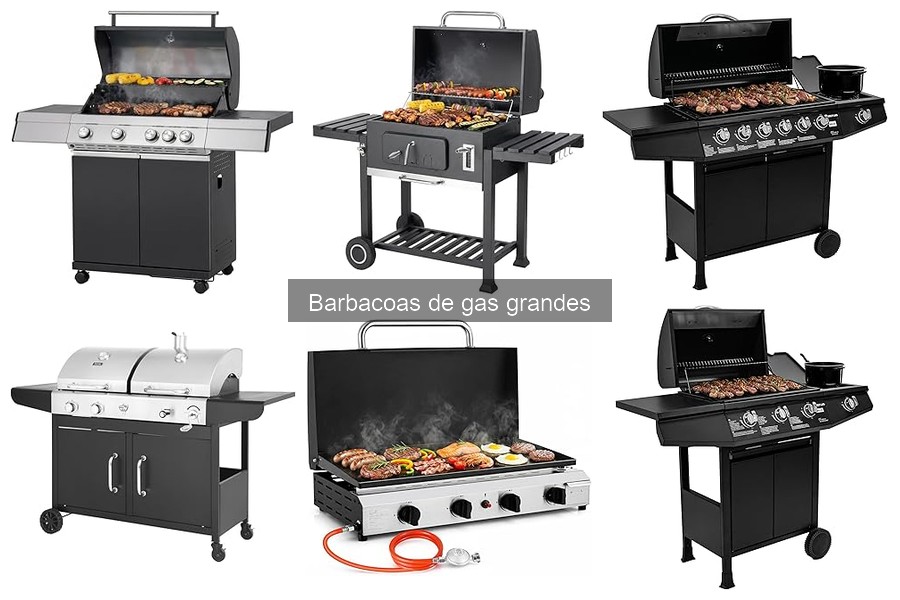 Ventajas y desventajas de las barbacoas de gas grandes