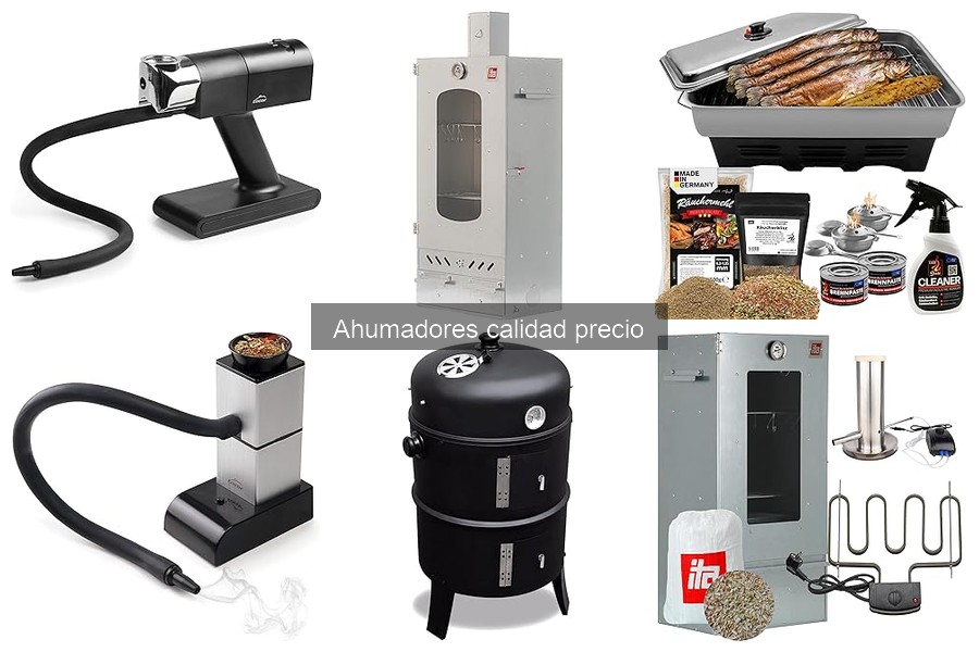 Ventajas y desventajas de los ahumadores calidad precio