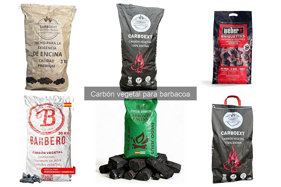 Ventajas y desventajas del carbón vegetal para barbacoa
